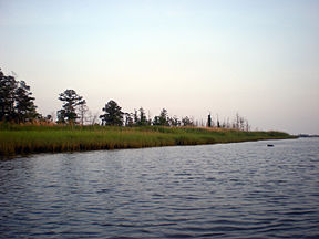 Eagles Island NC