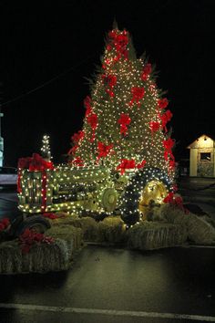 Christmas Calabash Nc 2022 Tree Lighting Calabash Christmas Tree Lighting - Calabash Nc - Calabashtown.com