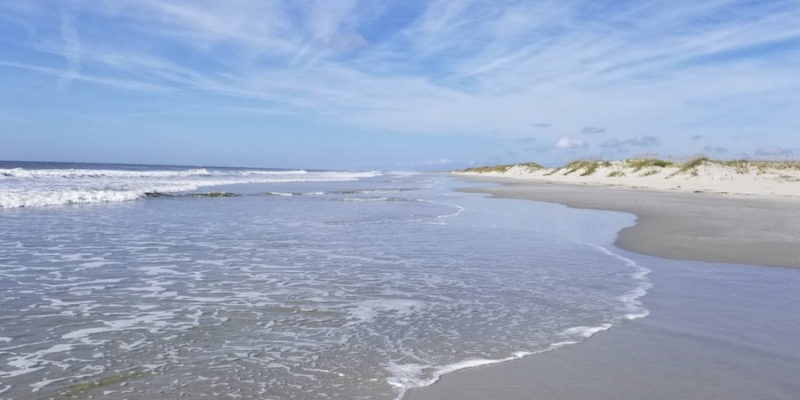 Check Out Undeveloped Bird Island!